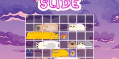 Meow Slide